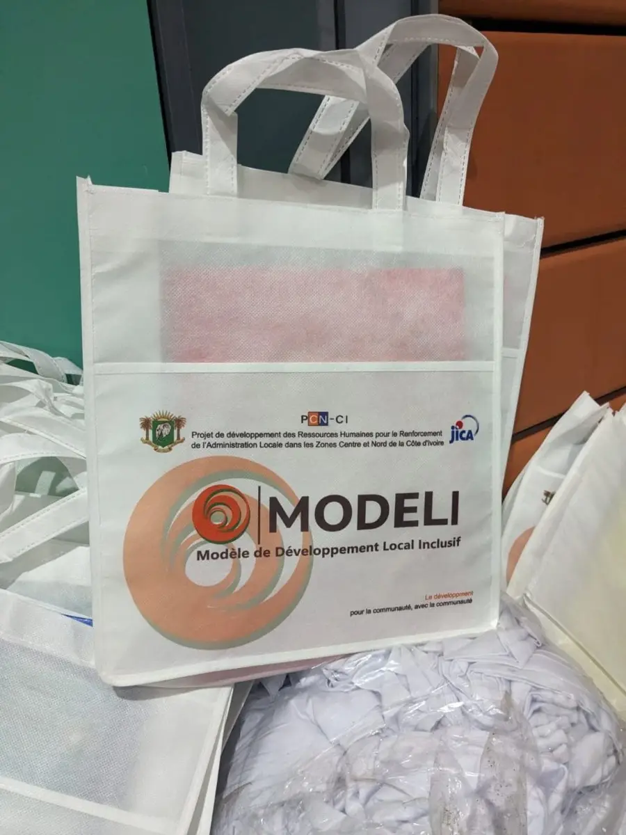 Sac du projet MODELI